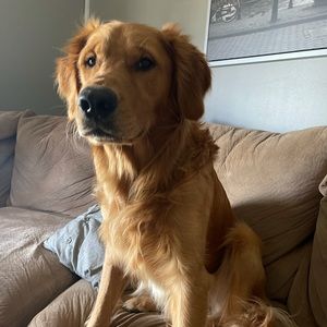 Meet your Posher, Isaac